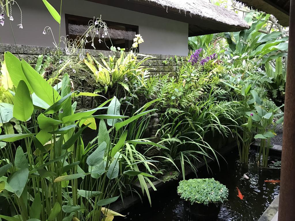Bali Villa Aja Семиньяк Экстерьер фото